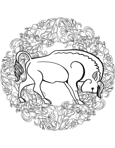 Buffalo Mandala Coloring Page